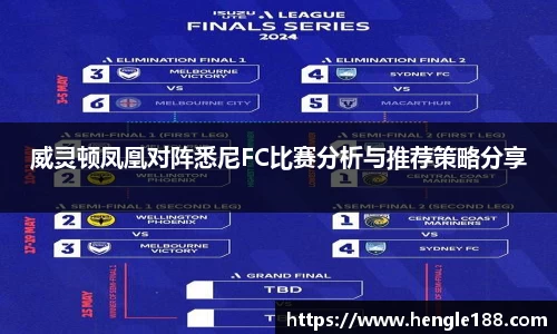 威灵顿凤凰对阵悉尼FC比赛分析与推荐策略分享